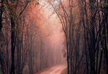 备战世预赛18强赛，中国男足开启新一轮集训环球时报.