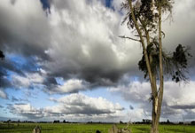 英格兰球迷点评图赫尔首秀战：不好不坏吧！索斯盖特的比赛好看些.