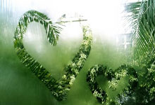 [CBA]杨瀚森化身防守大闸 青岛46分大胜广州.